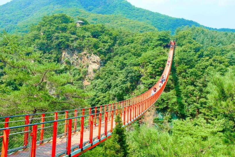 from-seoul-dmz-the-3rd-tunnel-and-suspension-bridge-tour
