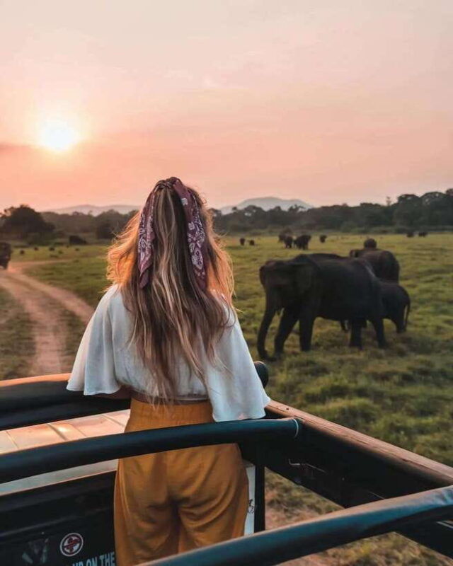 from-sigiriya-minneriya-national-park-elephant-safari