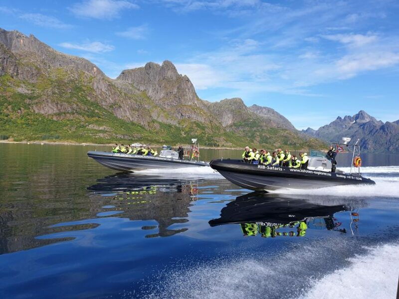 from-svolvaer-trollfjorden-wildlife-rib-cruise