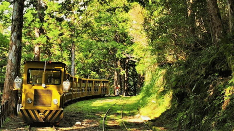 from-taipei-taipingshan-national-forest-private-day-tour