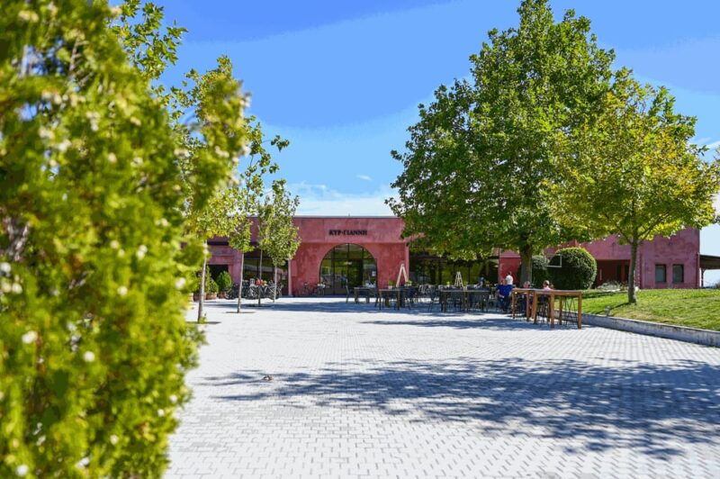 from-thessaloniki-pella-edessa-naousa-wine-tasting