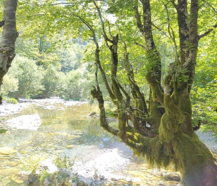 from-tirana-2-day-private-tour-of-theth-and-shkoder