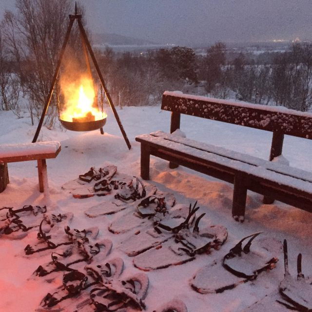 from-tromso-guided-husky-snowshoe-hike-and-husky-camp-visit