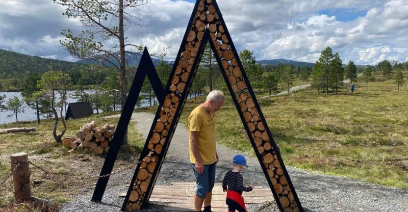 from-trondheim-day-tour-to-home-of-the-trolls