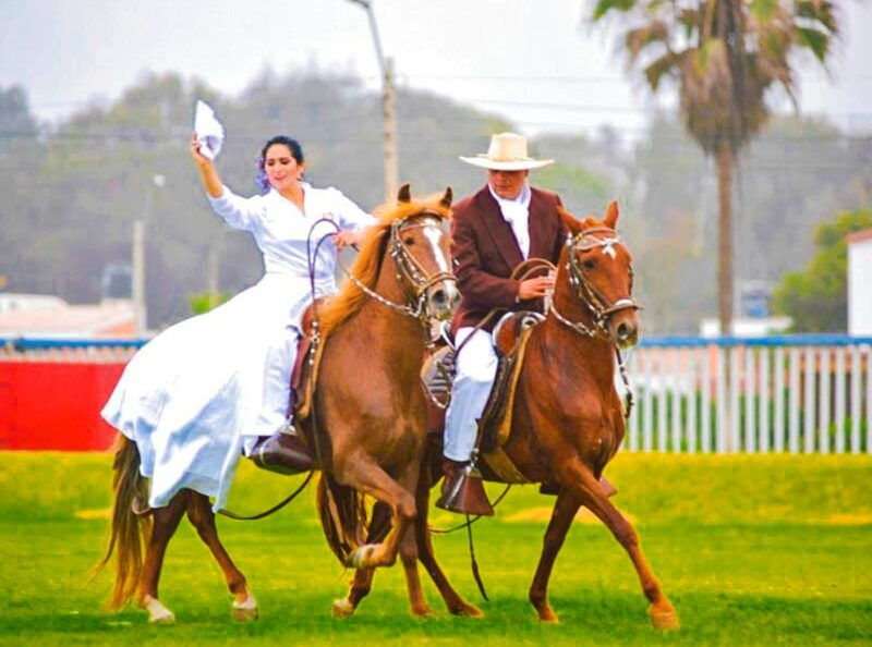 from-trujillo-full-day-with-paso-horses-and-sailor-show