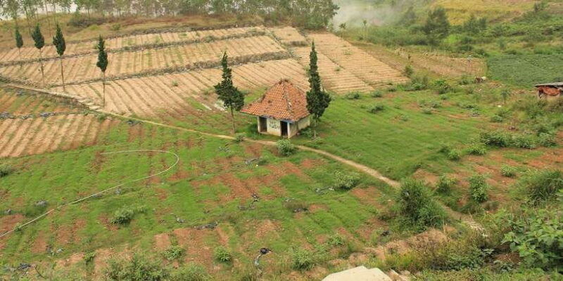 from-yogyakarta-golden-sunrise-dieng-plateau-trip-full-day