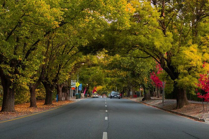 Full Day Adelaide Private Guided Tour - Authentic Insights from Past Travelers