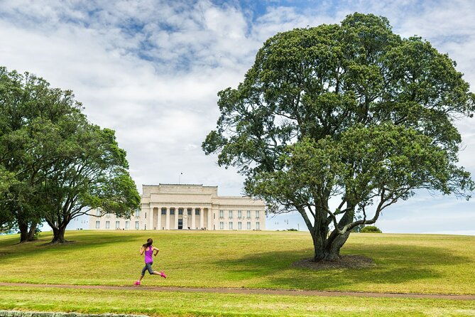 Full-day Auckland City & Rainforest Tour by Car - Authentic Insights from Reviews
