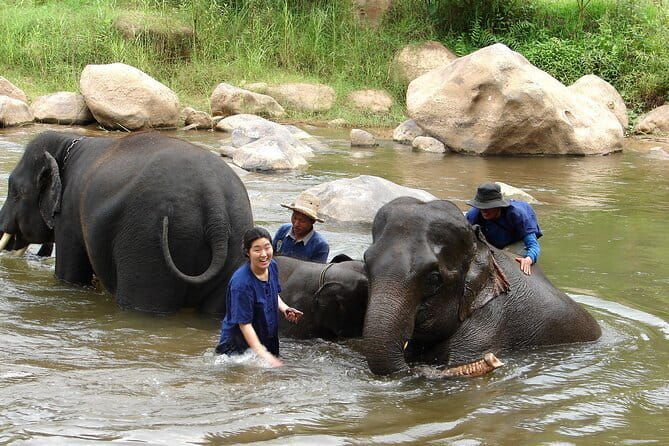 Full Day Elephant Bathing and Bamboo Rafting Tour in Chiang Mai - Why Choose This Tour?