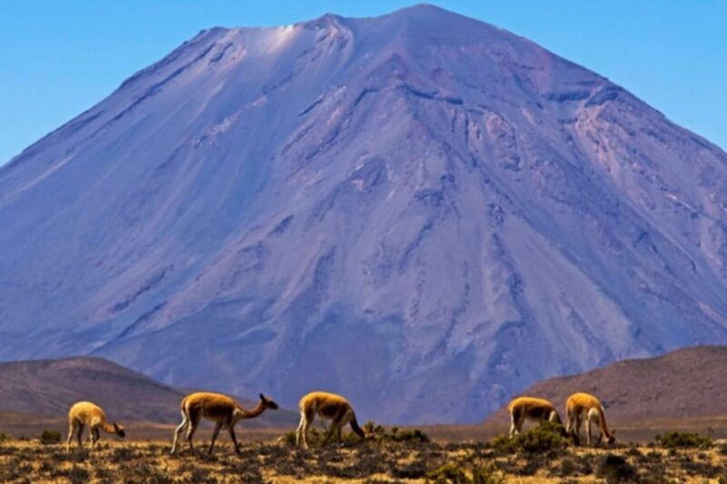 full-day-excursion-to-the-salinas-lagoon-arequipa