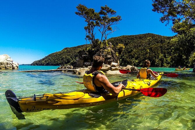 Full-Day Freedom Kayak Rental in New Zealand - Gear, Safety, and Practical Details