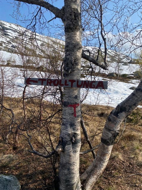full-day-hiking-adventure-from-bergen-to-trolltunga-3