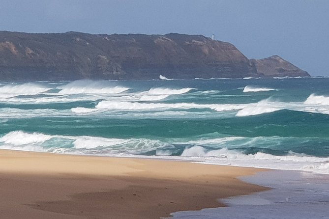 Full-Day Mornington Peninsula Sightseeing Tour from Melbourne - Exploring the Full-Day Mornington Peninsula Tour in Detail
