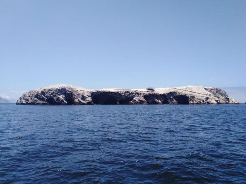 full-day-paracas-ica-from-lima