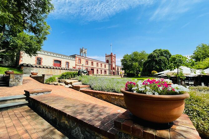 Full Day Private Barossa Valley Wine Tour - What Makes This Tour Stand Out