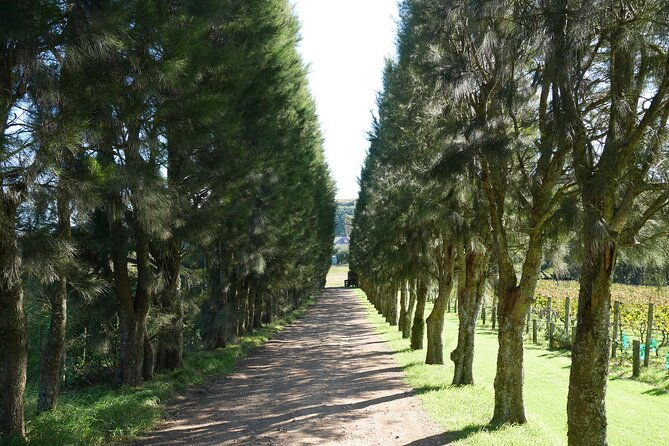 Full Day Private Waiheke Island Wine Tour Including Lunch - The Value in the Price
