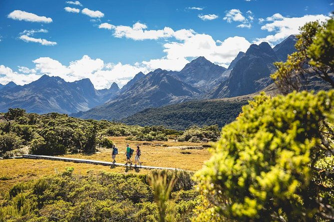 Full-Day Routeburn Track Key Summit Guided Walk from Te Anau - The Experience from Reviews