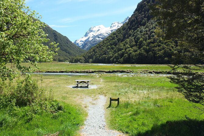 Full-Day Small-Group Routeburn Valley Walk - What You Can Expect from the Walk