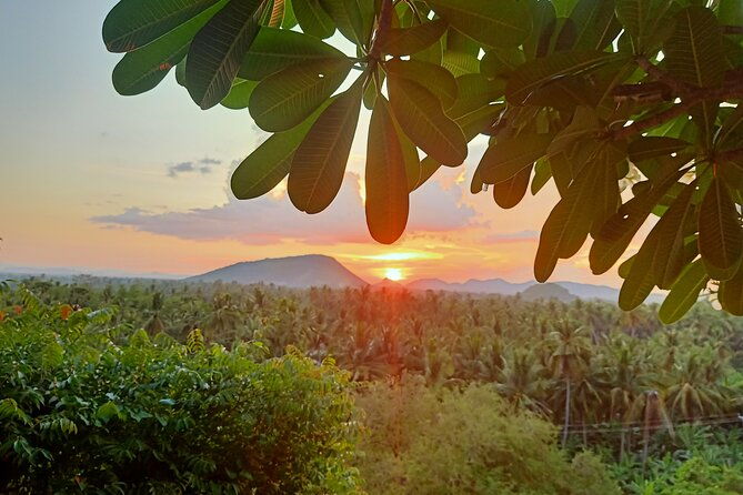Full Day tour .City tour.Countryside.Bamboo Train.Secret Bat Cave - Authenticity and Value