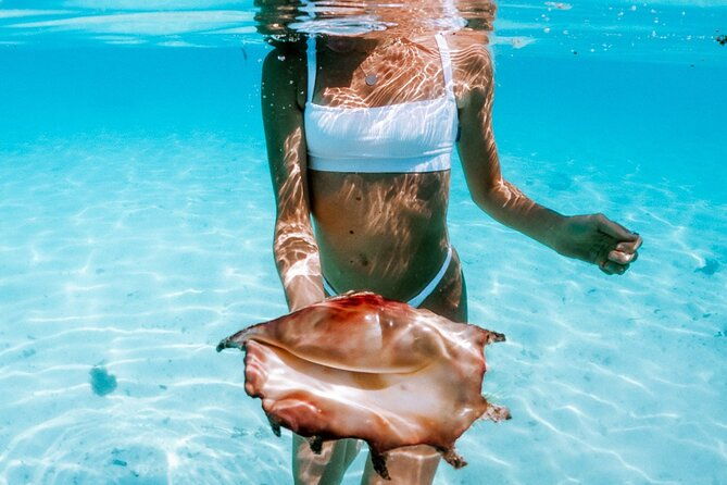 Full Day Tour : Moorea Snorkeling & Sunset Cruise on a Catamaran named Taboo - What to Expect from This Cruise
