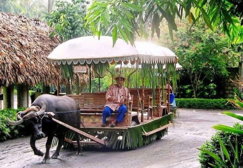 full-day-tour-villa-escudero-plantation