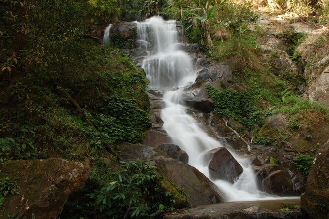 Full Day Trekking & bamboo cooking Tour in Chiang Rai - Authenticity and Reviewer Insights