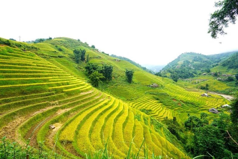 full-day-trekking-lao-chai-ta-van-and-cat-cat-village