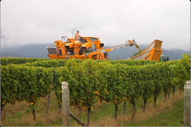 Full-Day Wine Gourmet and Scenic Delight Tour of Marlborough from Picton - The Breakdown of the Tour: What You Can Expect