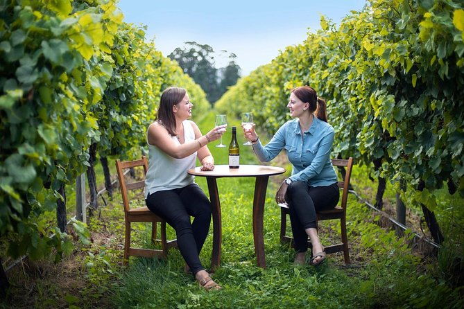 Full-Day Wine Tour from Blenheim - Who Should Book This Tour?