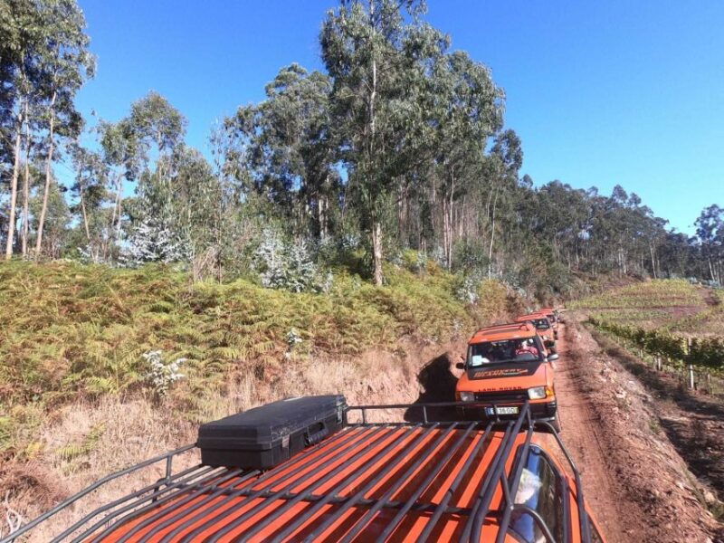 funchal-camara-lobos-girao-sea-cliff-half-day-jeep-tour