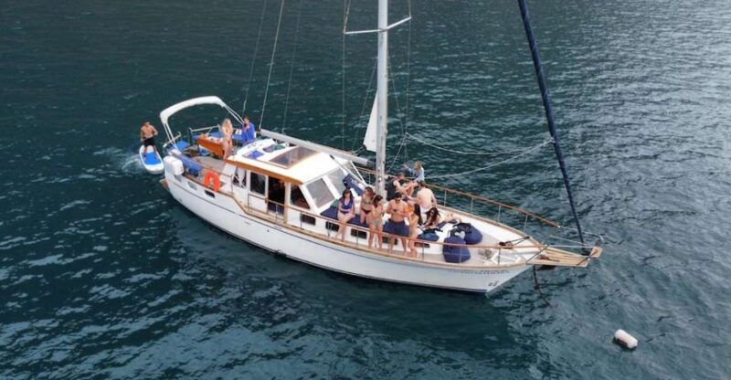 funchal-dolphin-and-whale-watching-sailing-trip