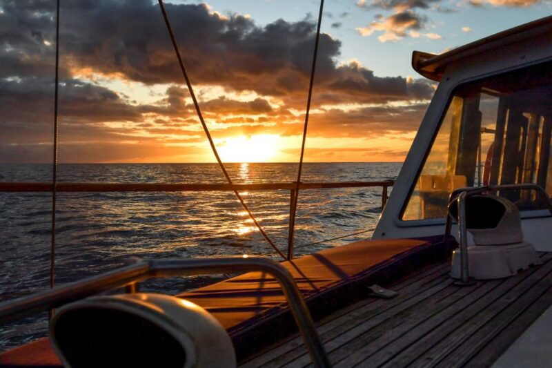 funchal-dolphin-and-whale-watching-sunset-sailing-tour