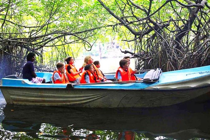 Galle Day Tour from Colombo or Negombo by Private Car , Van with Driver - Authentic Insights from Reviews