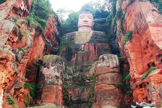 Giant Panda and Leshan Buddha Day Trip from Chengdu - What We Love About This Tour