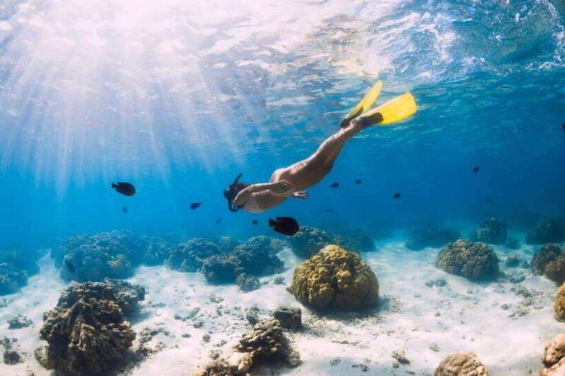 gili-air-snorkeling-3-gili-islands-with-shared-private-boat