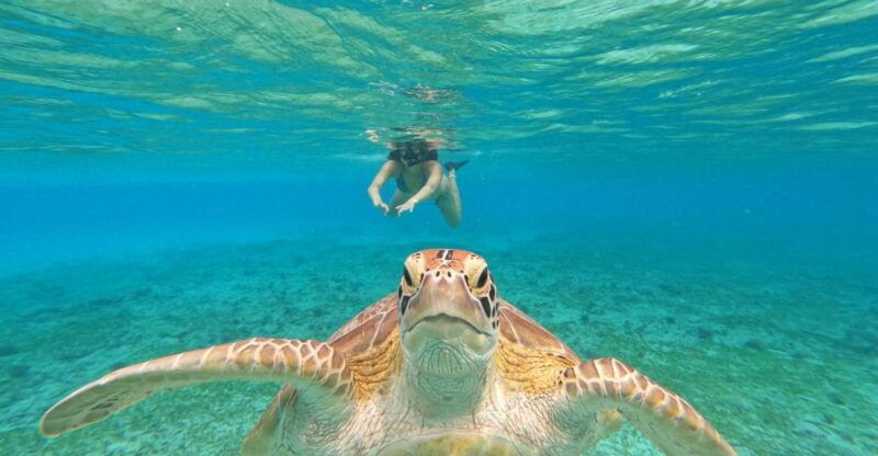 gili-islands-2-hour-snorkel-with-gopro-camera-guide