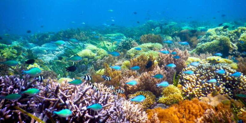 gili-islands-snorkeling-adventure