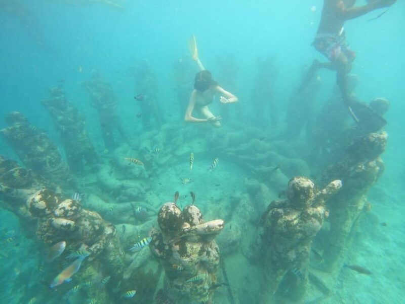 gili-t-island-gili-snorkeling-day-trip-swim-with-turtles