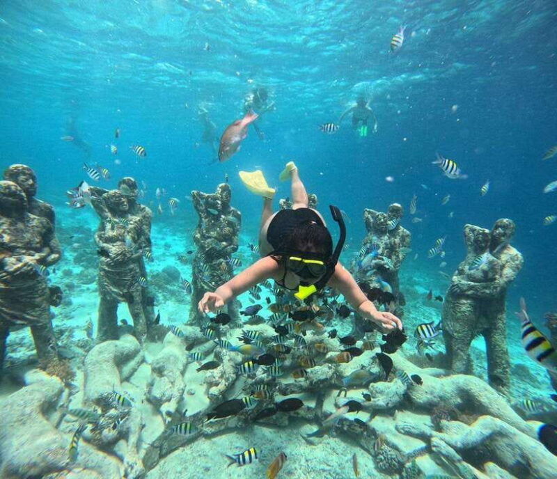 gili-t-private-snorkeling-trip-5-hours-3-gili