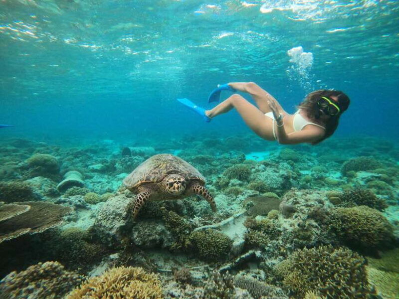 gili-t-small-group-snorkeling-trip