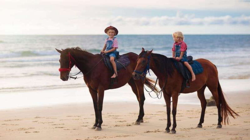 gili-trawangan-beach-horseback-riding-with-pickup-hotel