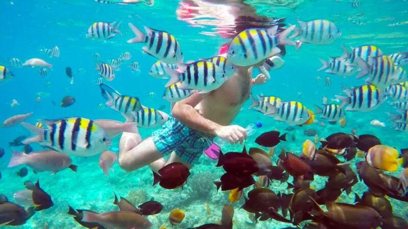 gili-trawangan-islands-hopping-snorkeling-trip