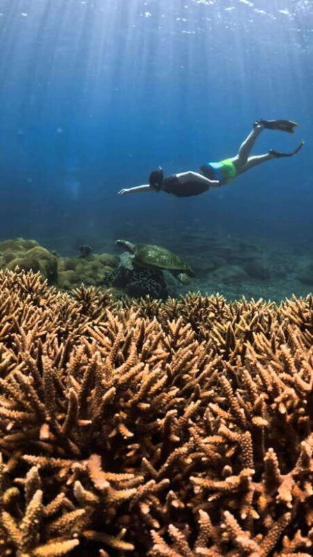 gili-trawangan-private-sharing-snorkeling-tour-3-gili