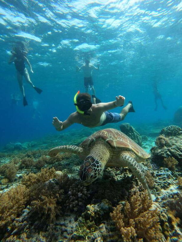gili-trawangan-private-snorkeling-coral-statues-turtles