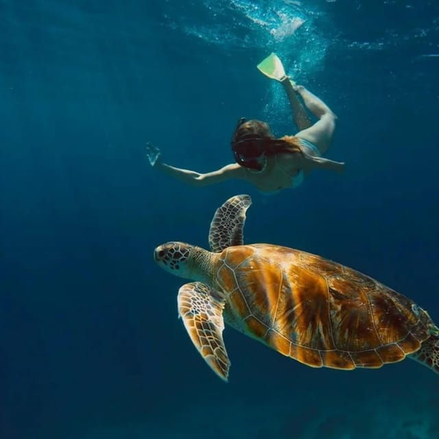 gili-trawangan-private-snorkeling-sunrise-and-sunset-tour