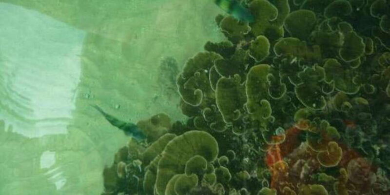 glass-bottom-boat-ride-in-trincomalee