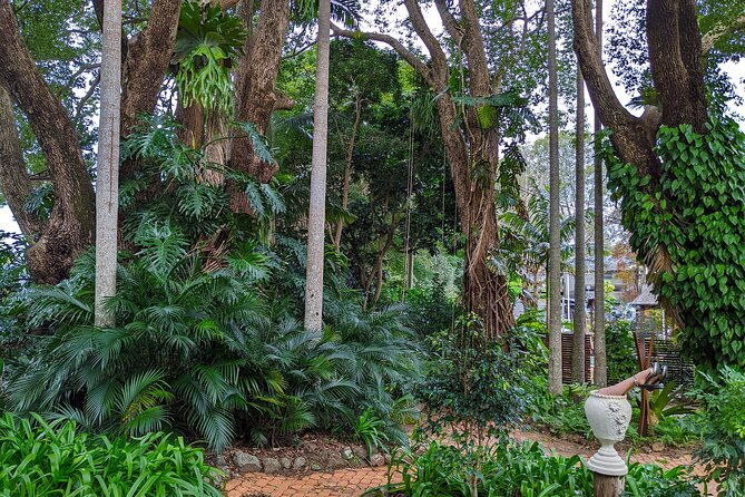 Glass House Mountains, Maleny and Montville Tour from Brisbane - What Makes This Tour Stand Out?