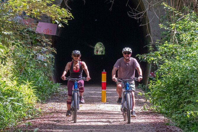 Glow Worm Tunnel Evening Guided Tour - The Scenic Ride and Wildlife Encounters
