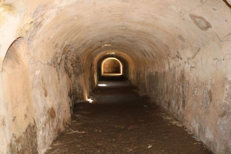 gnatia-ruins-and-archaeological-museum-private-guided-tour