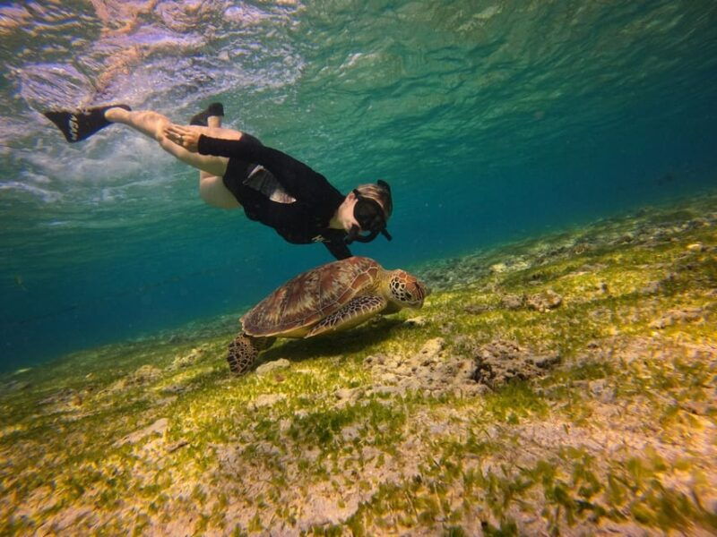 go-pro-snorkling-trip-3-islands